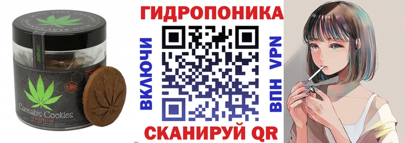 Canna-Cookies марихуана Купить закладки Георгиевск