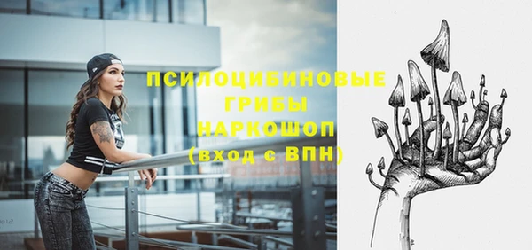 гидра Гусь-Хрустальный