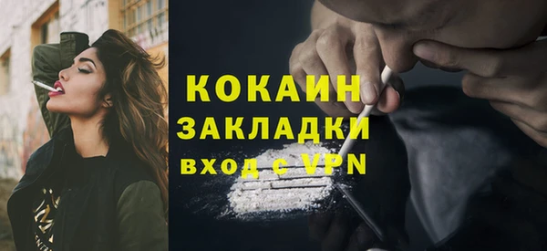 гидра Гусь-Хрустальный