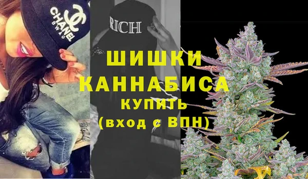 гидра Гусь-Хрустальный