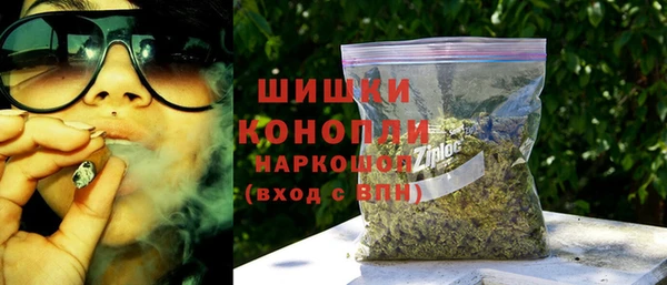 гидра Гусь-Хрустальный